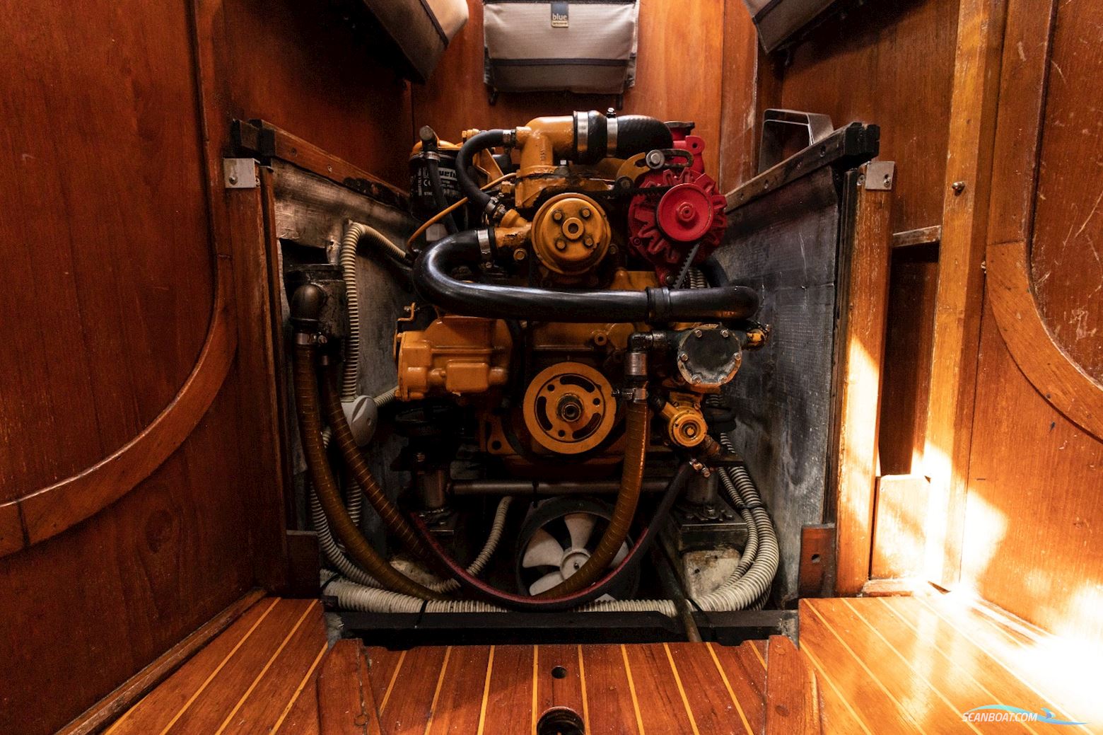 Van De Stadt Model Maya 33