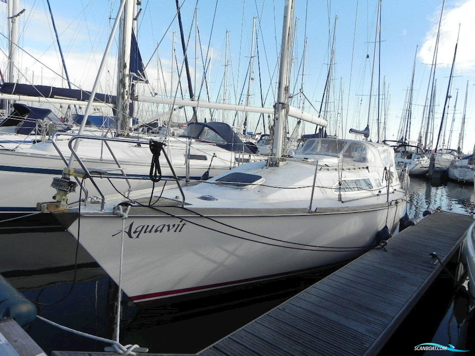 Van De Stadt Vita 30