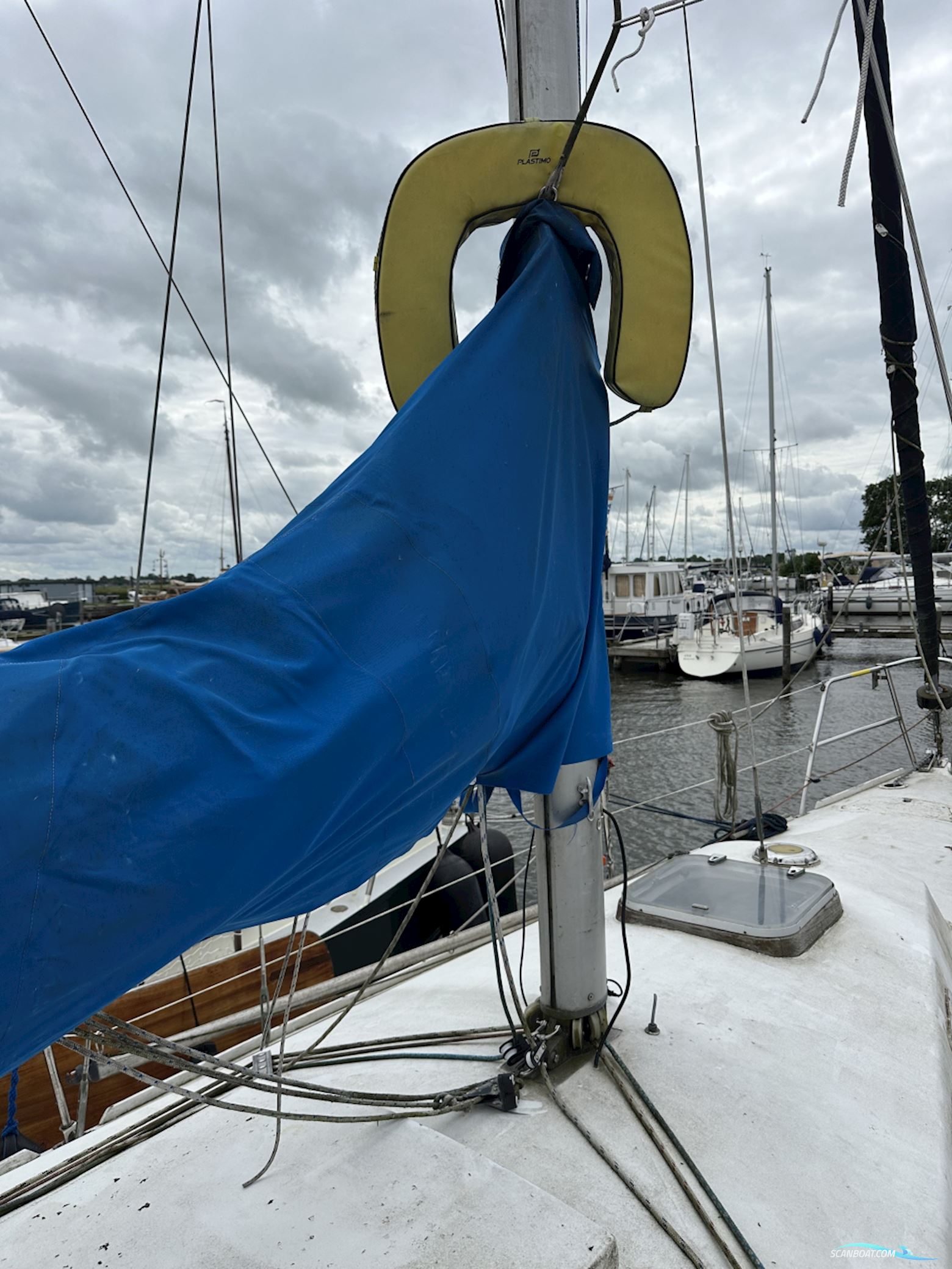 Van Der Stadt Pioneer