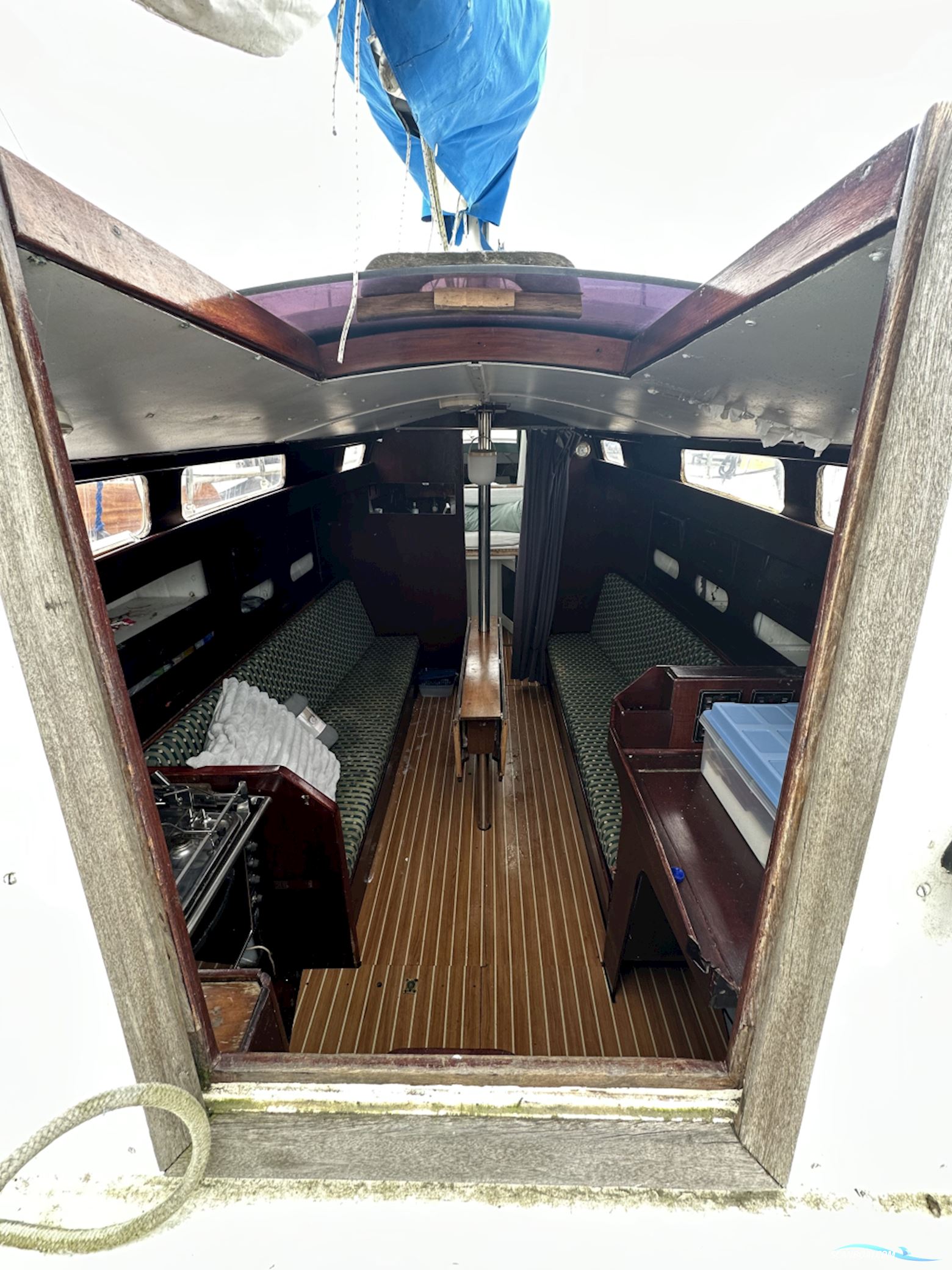 Van Der Stadt Pioneer
