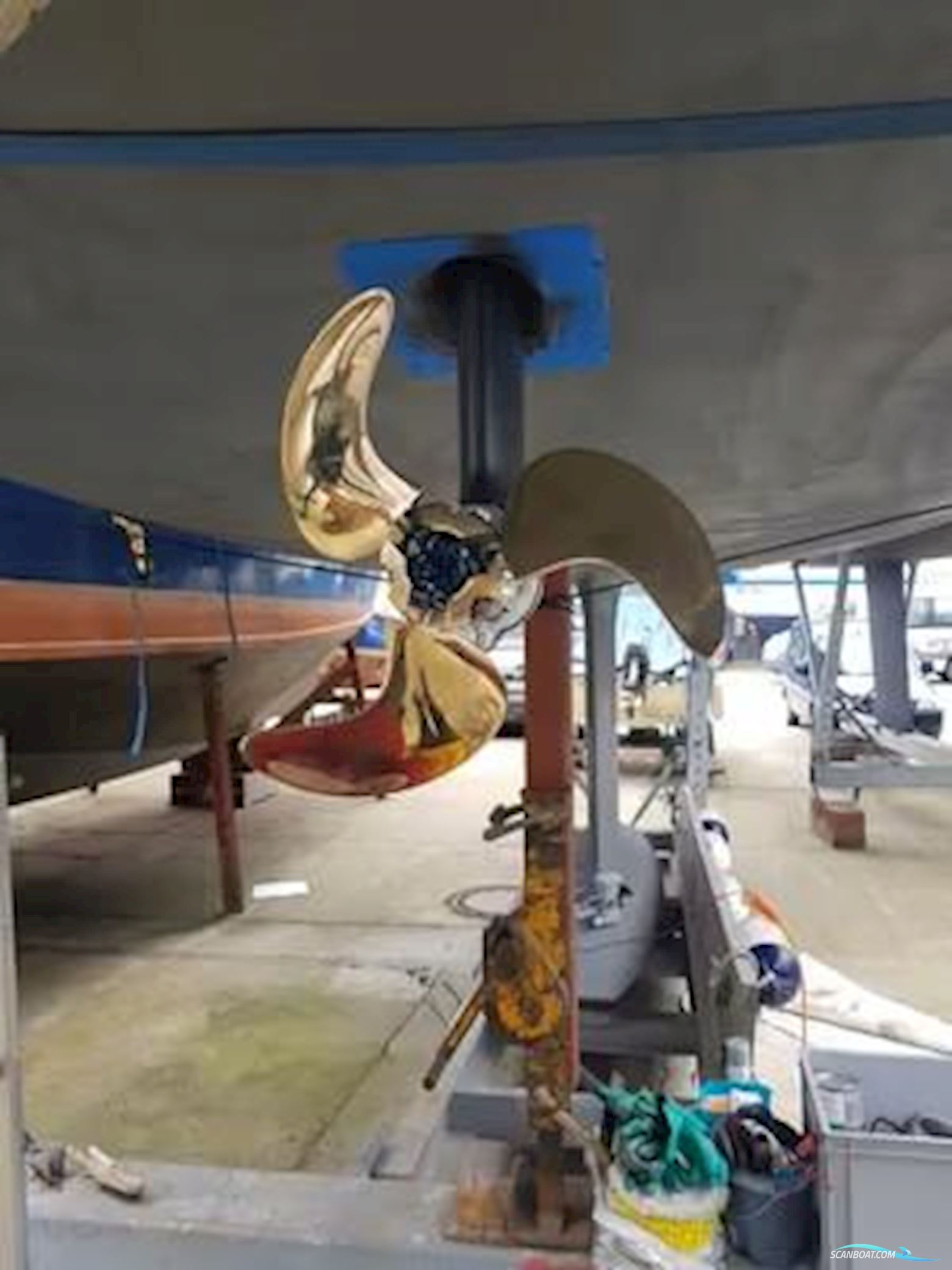 Varianta 44