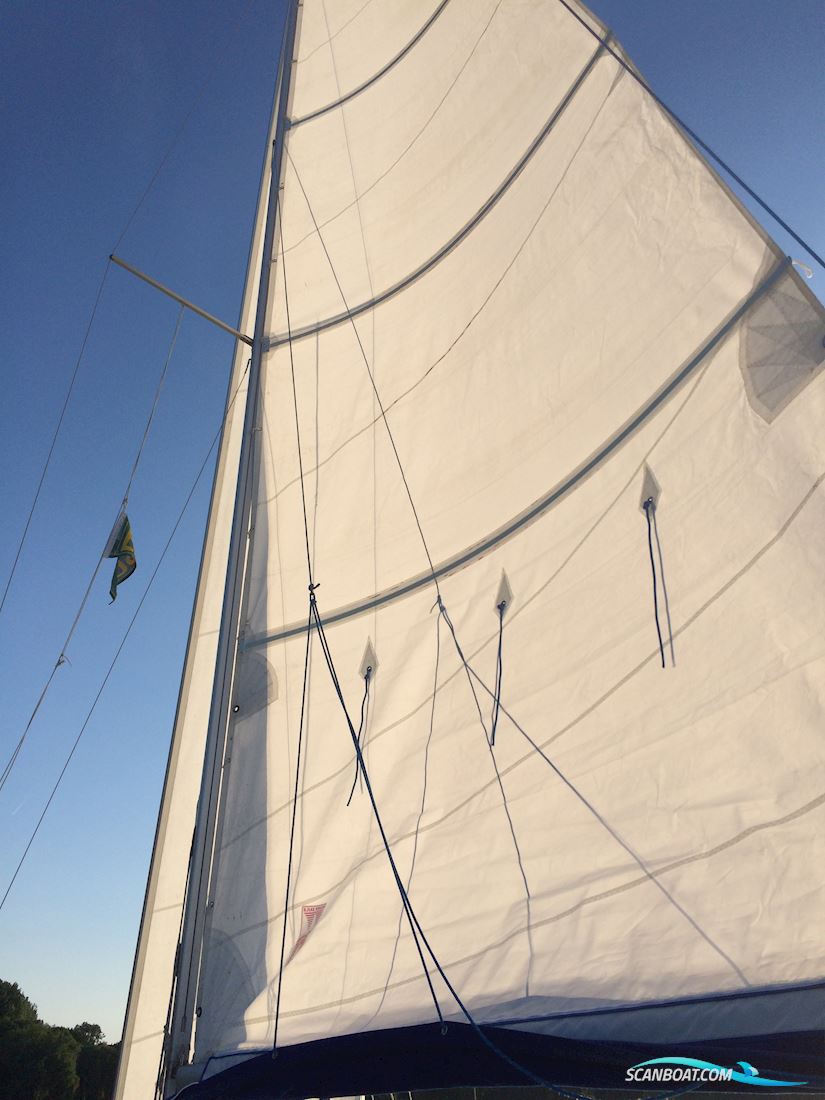 Viko 25