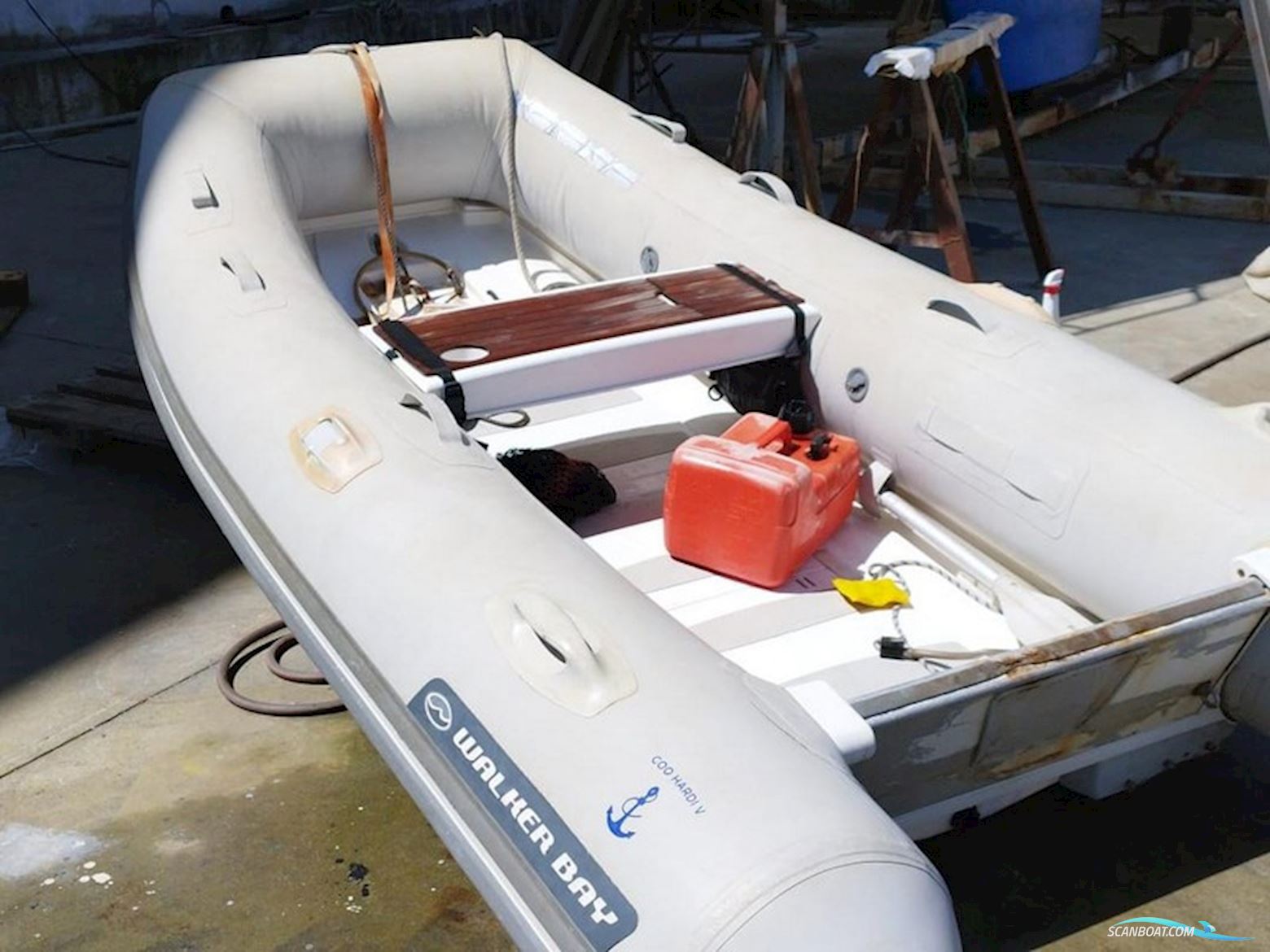 Wauquiez Amphitrite 43