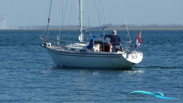Wauquiez Centurion 32