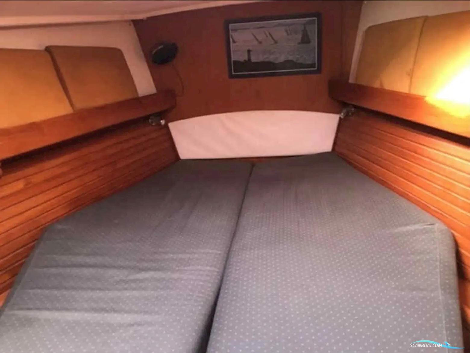 Wauquiez Centurion 49