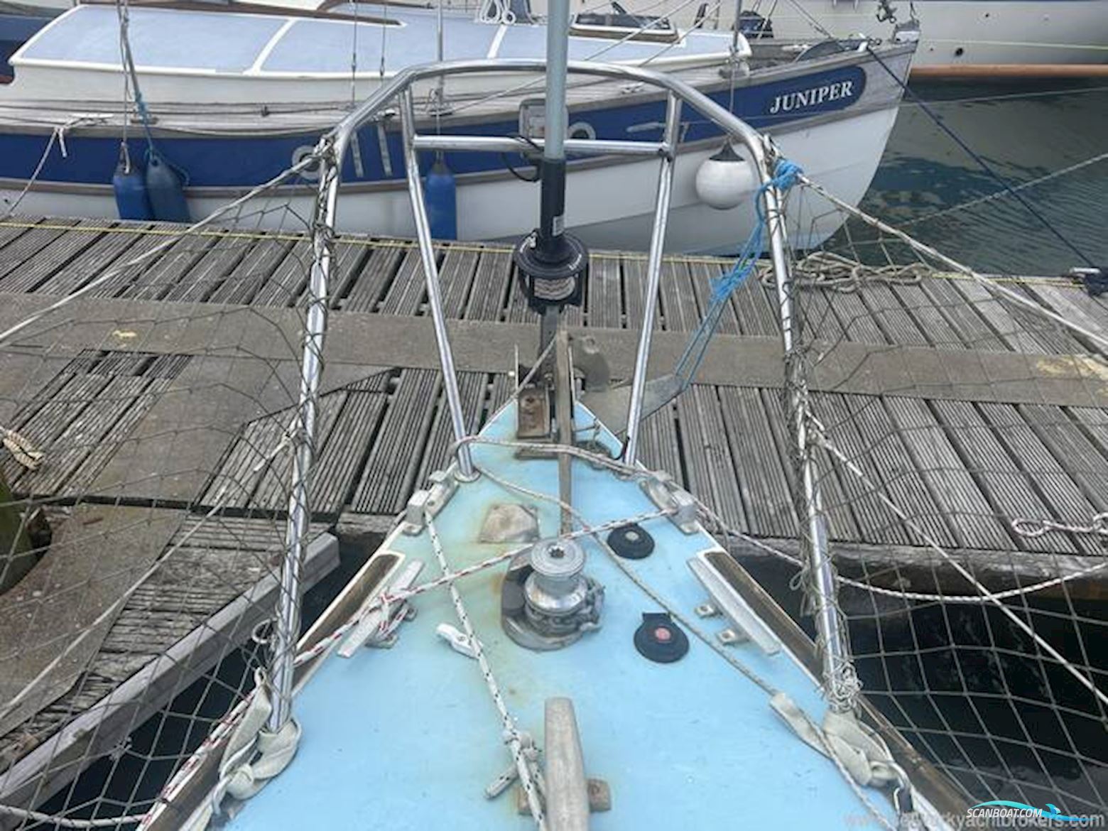 Westerly Griffon