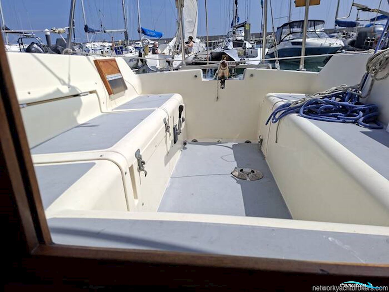 Westerly Griffon