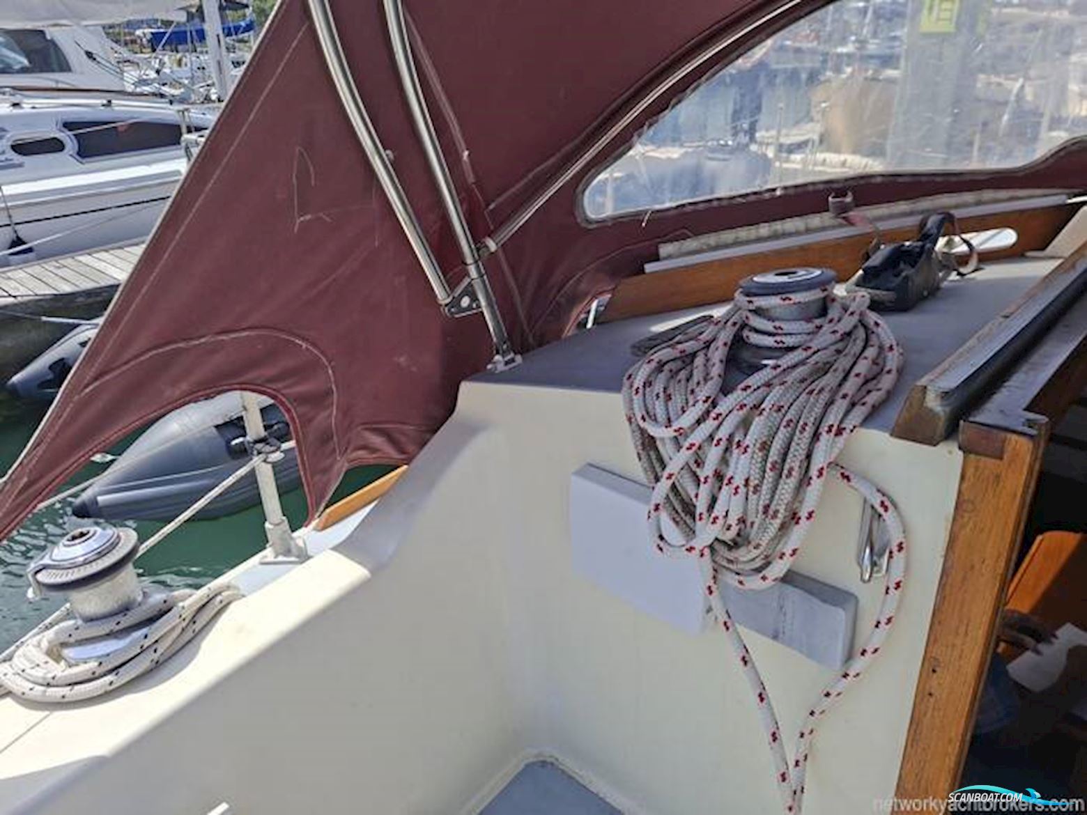 Westerly Griffon
