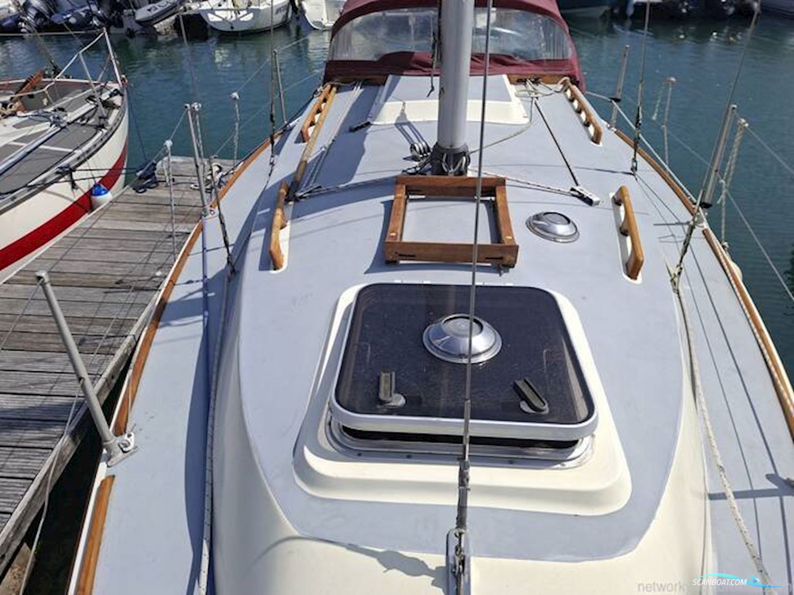 Westerly Griffon