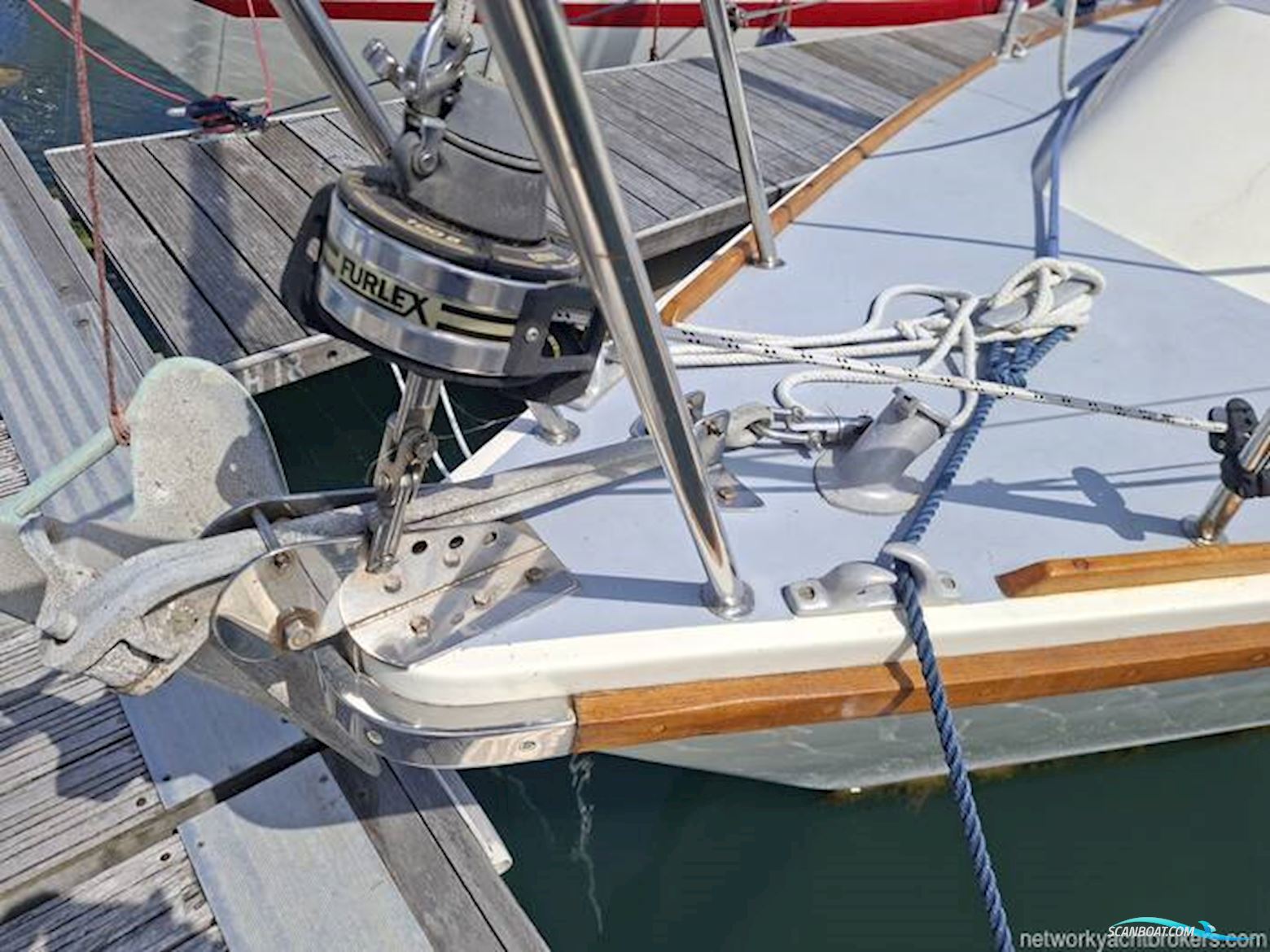 Westerly Griffon