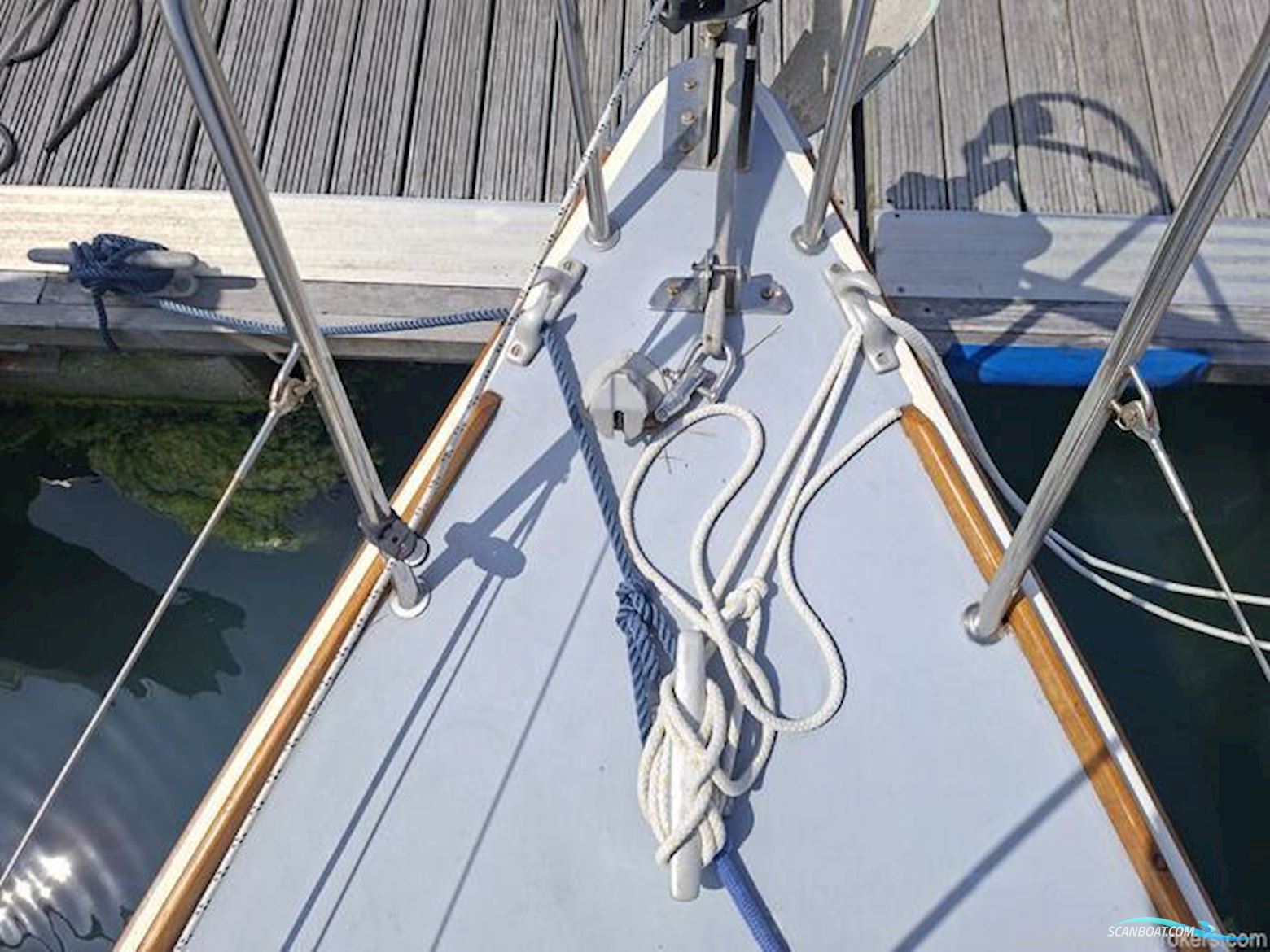 Westerly Griffon