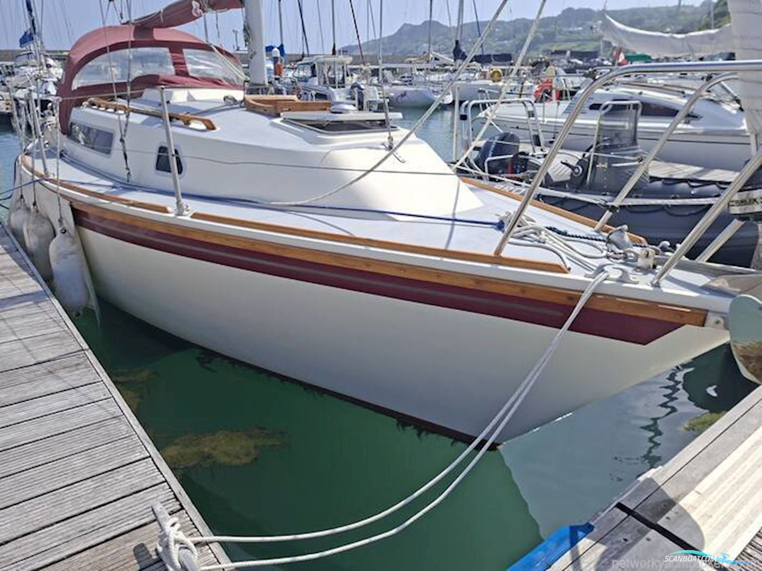 Westerly Griffon