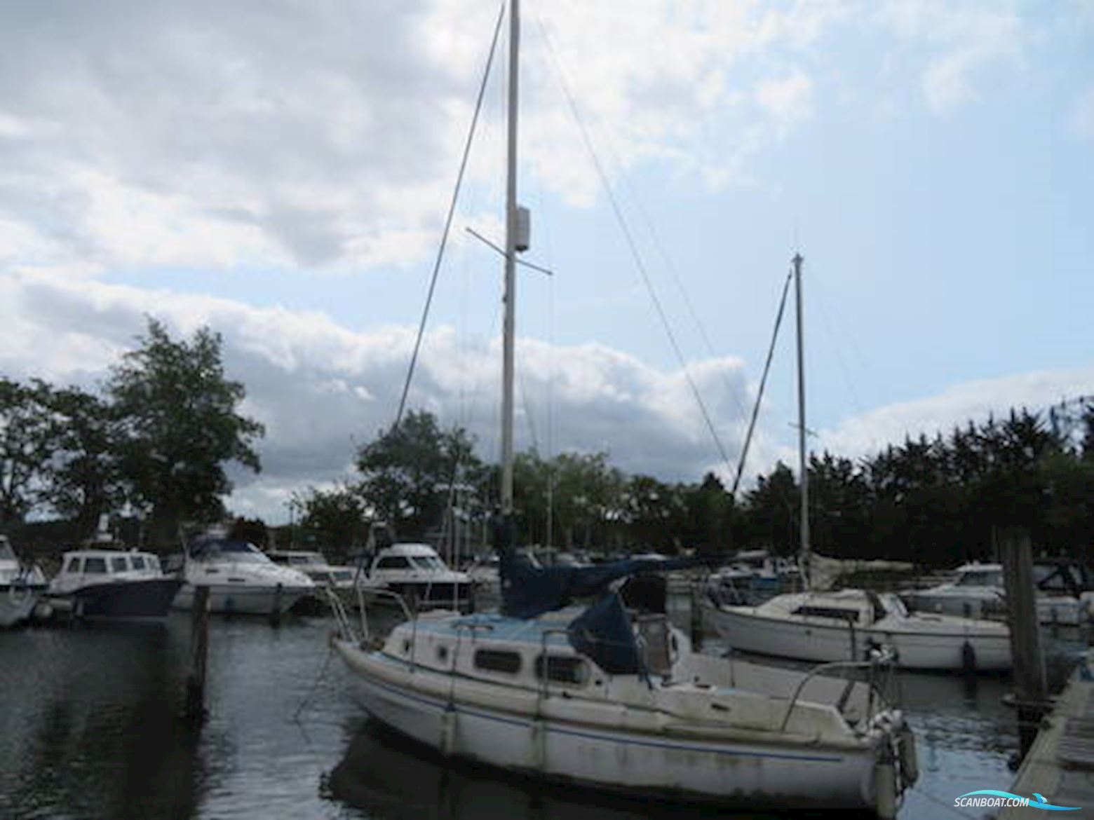 Westerly Pageant