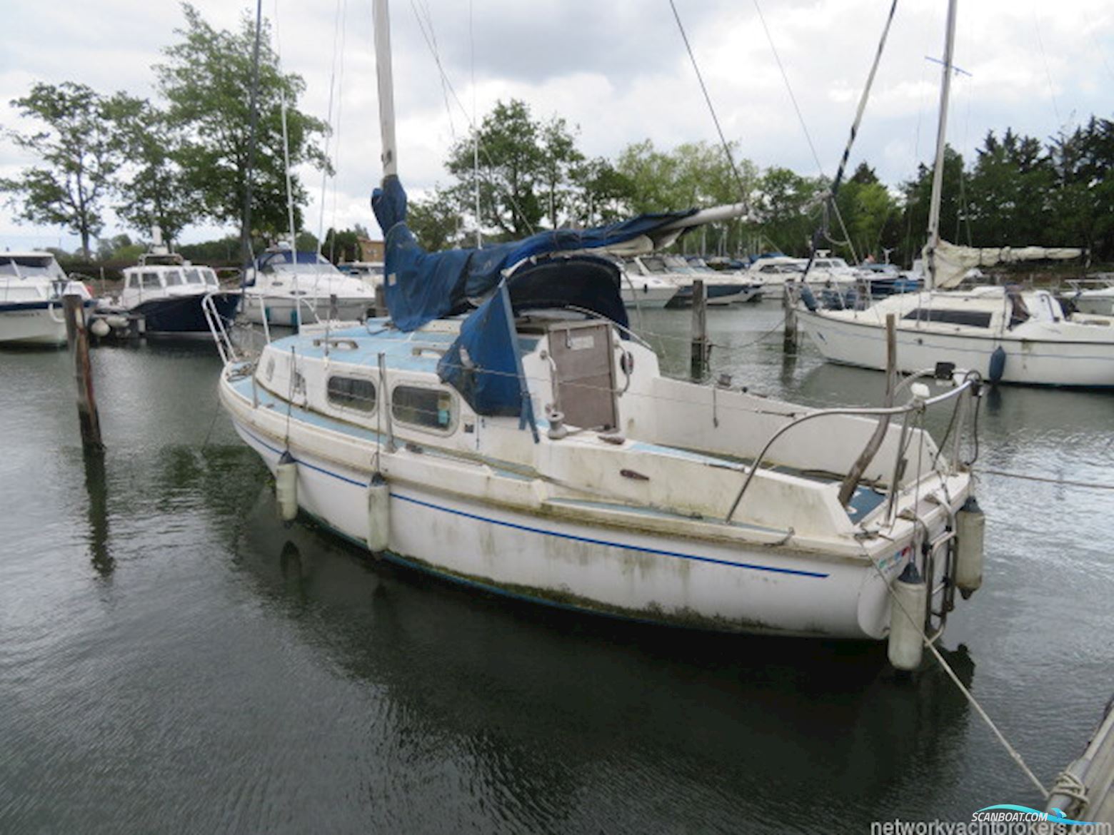 Westerly Pageant