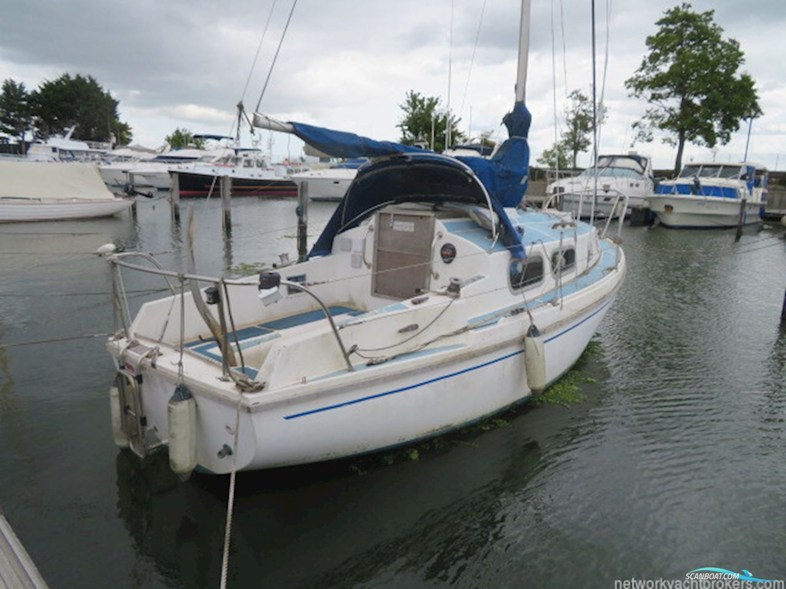 Westerly Pageant