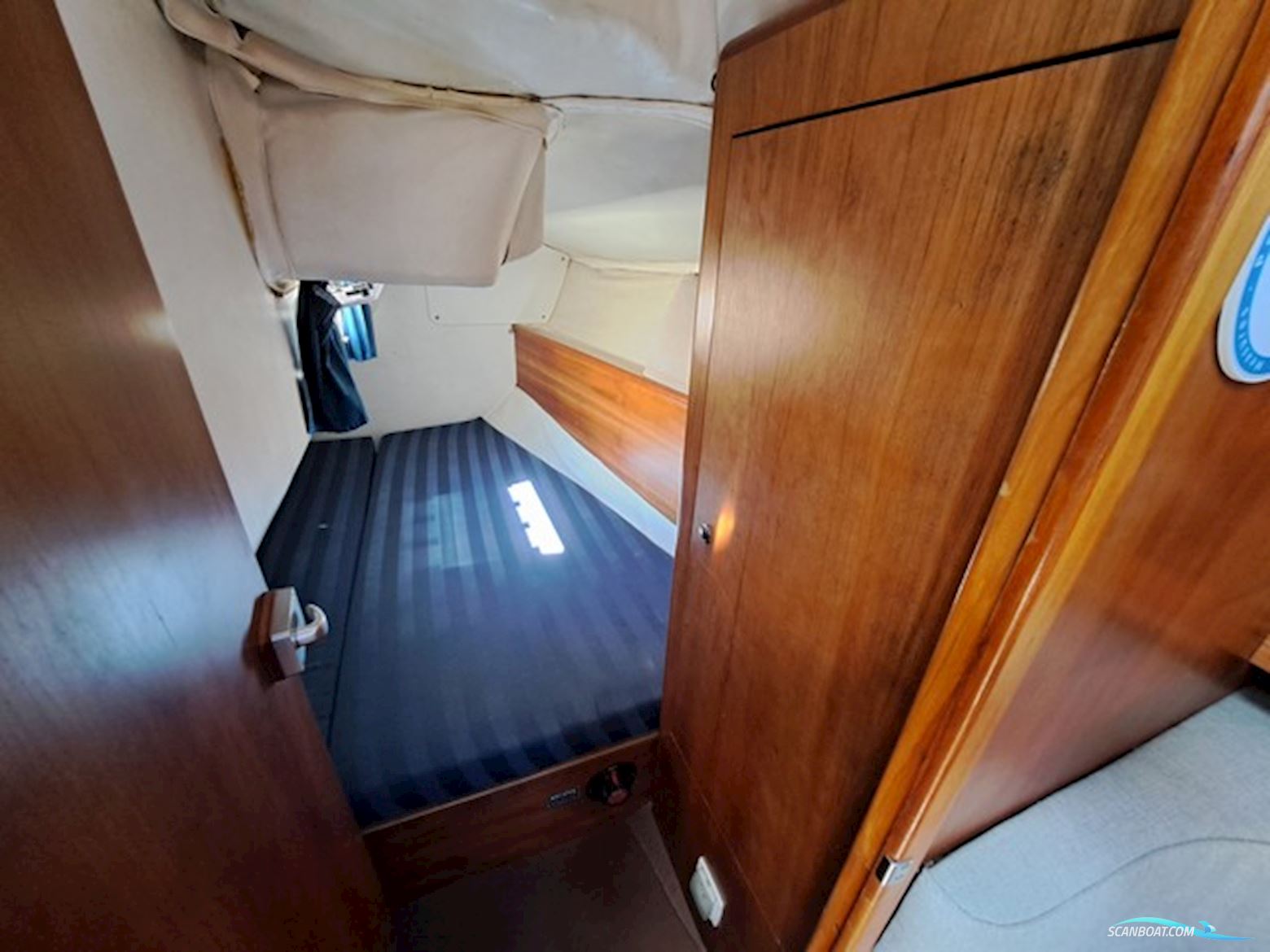 Westerly Regata 310