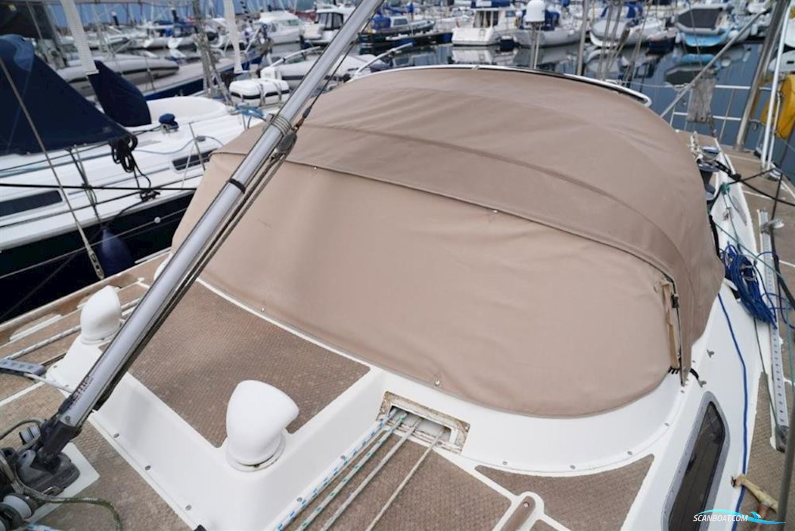 Westerly Sealord