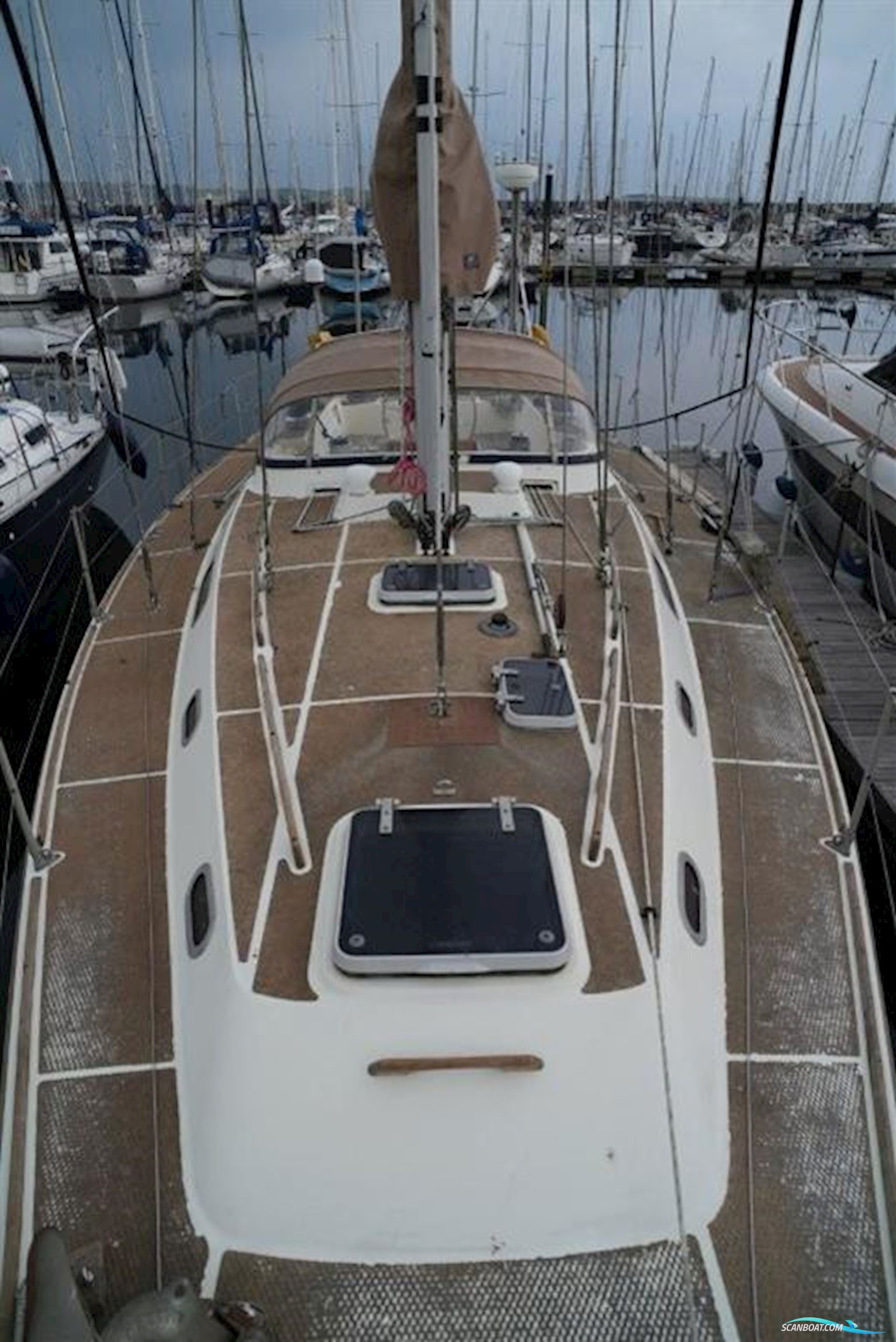 Westerly Sealord