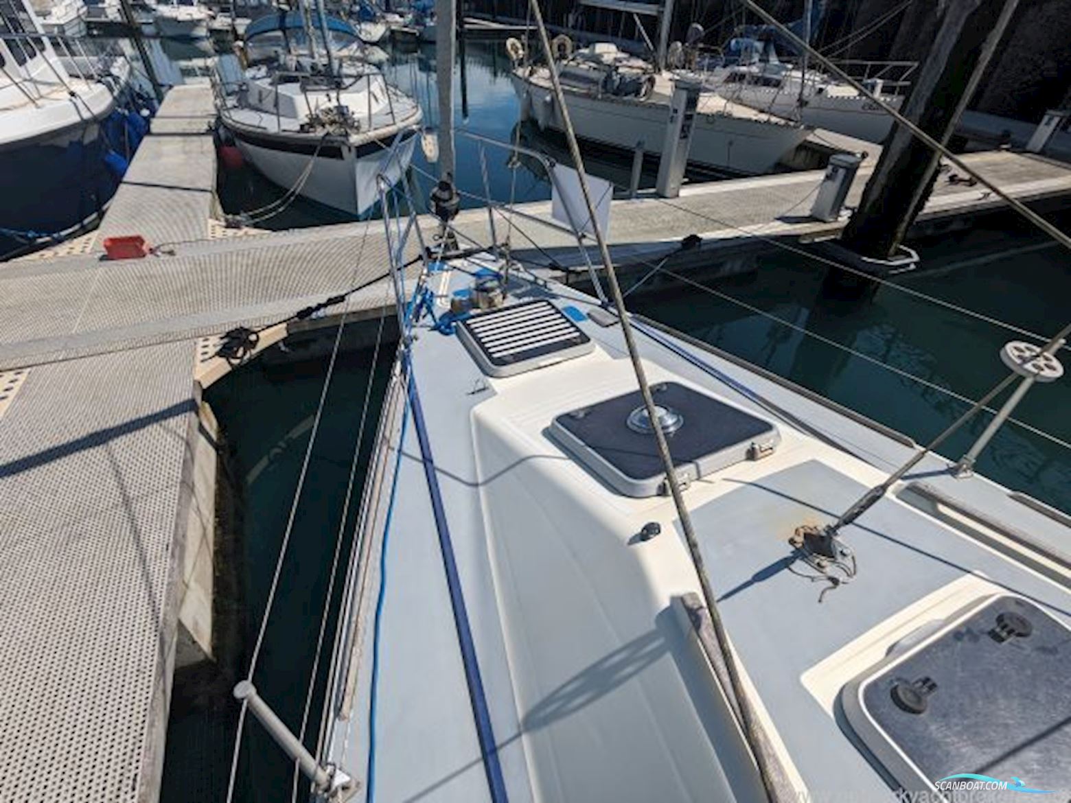 Westerly Tempest