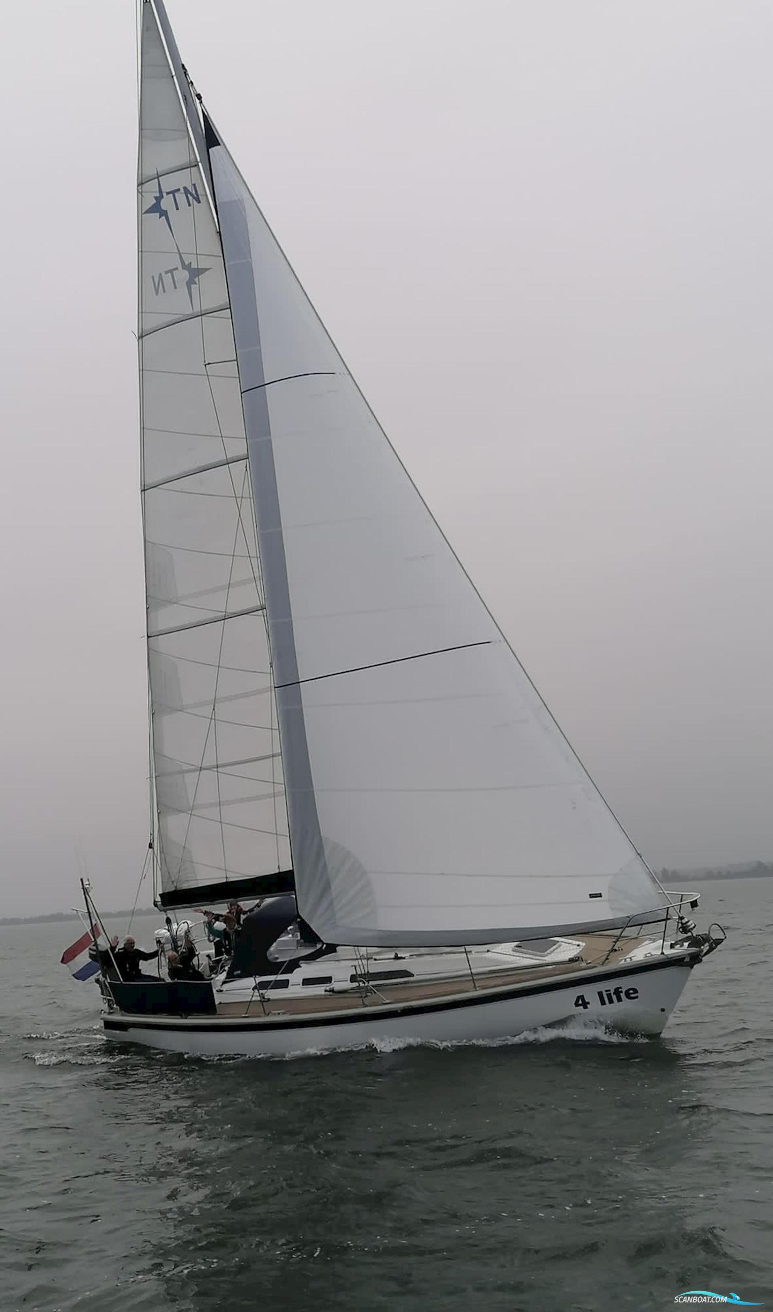 Westerly Typhoon 37