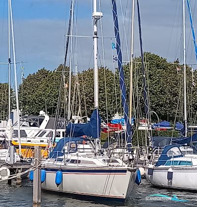 Westerly Typhoon 37 Sailingboat 1990, with Volvo Penta engine, The Netherlands