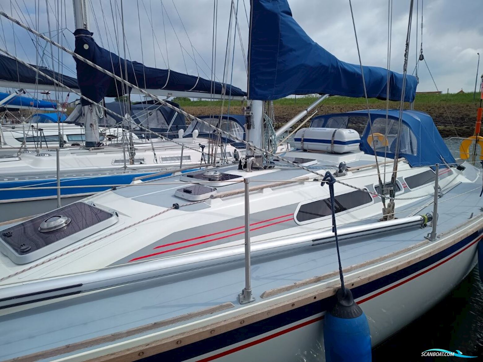 Westerly Typhoon 37