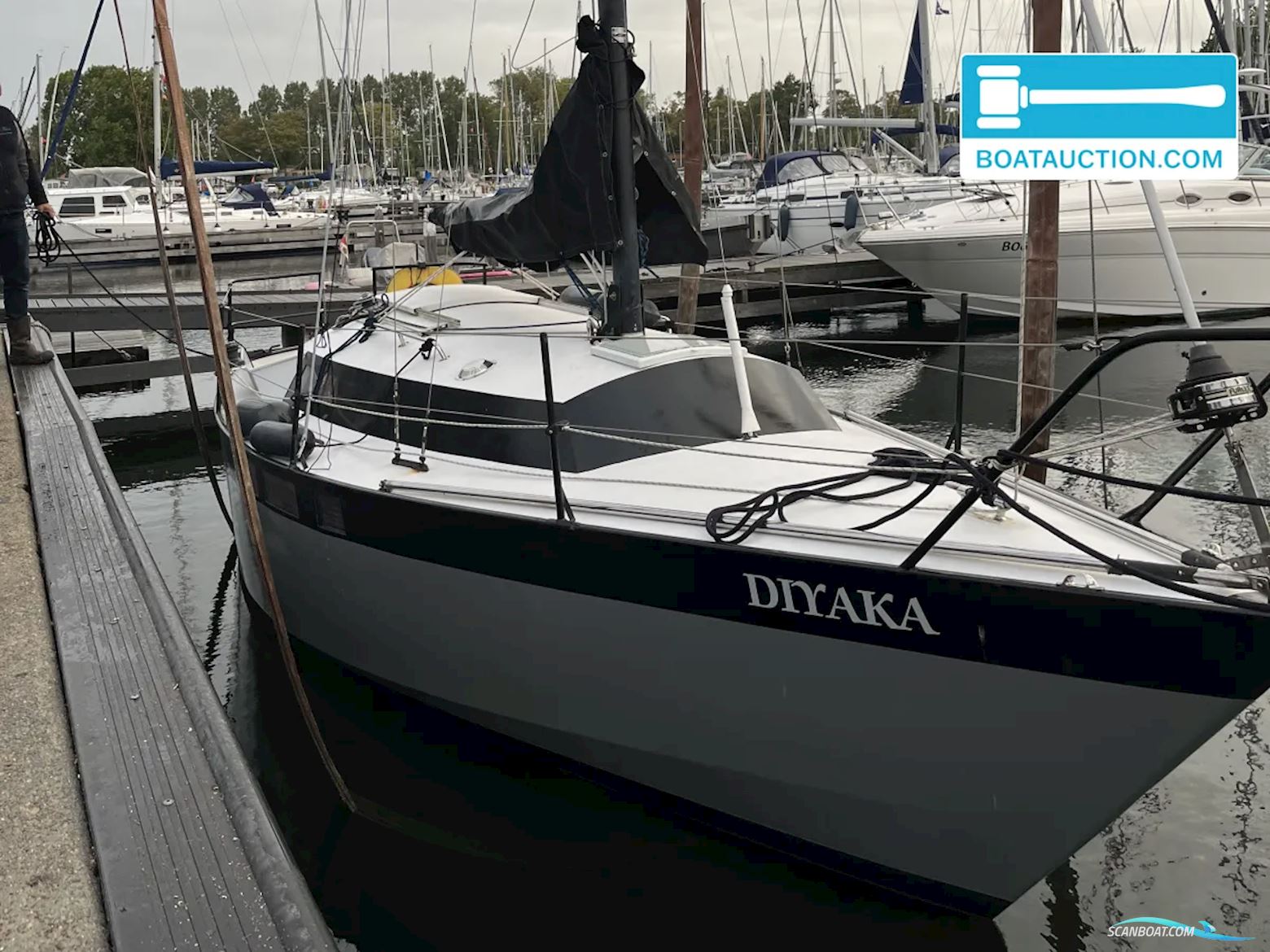 Wibo 835 Sailingboat 1985, with Sole engine, The Netherlands