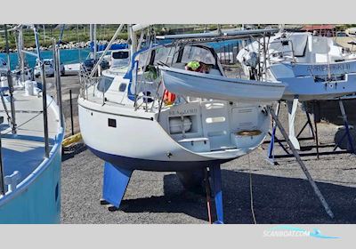Wrighton BI Loup 36 Sailingboat 2007, with Yanmar engine, France