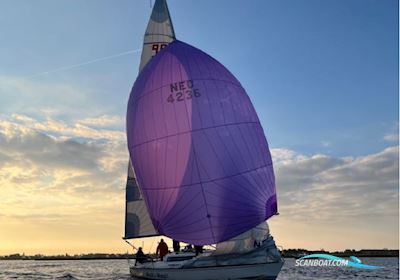 X-99 Sailingboat 1986, with Bukh New revised 2023 engine, The Netherlands