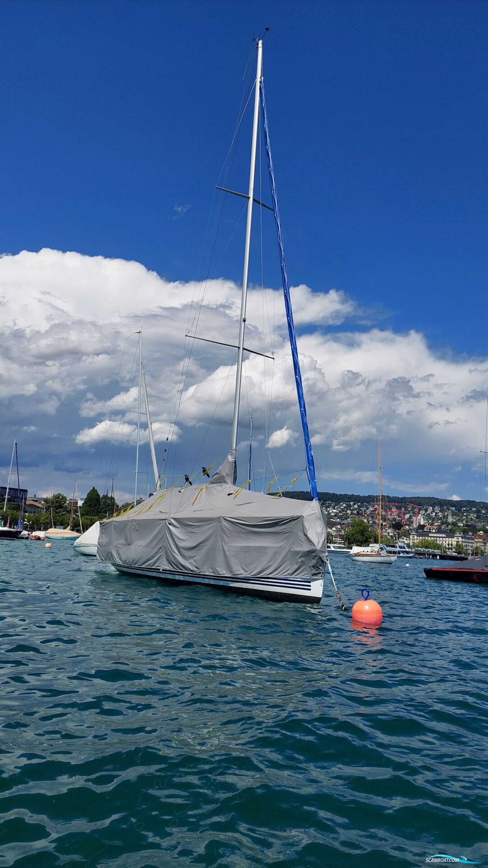 Xp 33 - X-Yachts