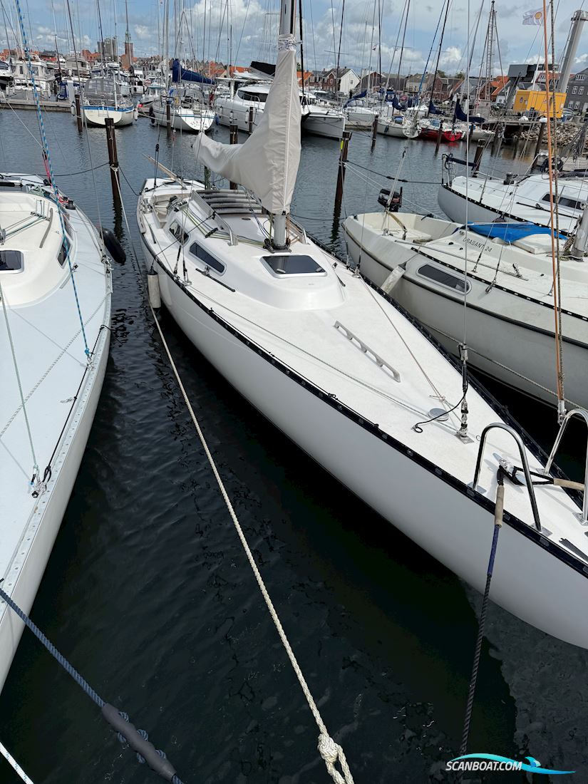 Ylva