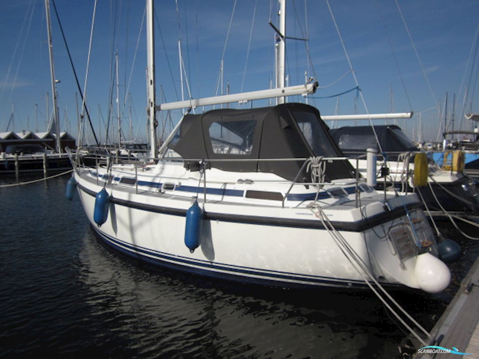 Zaadnoordijk Compromis 34