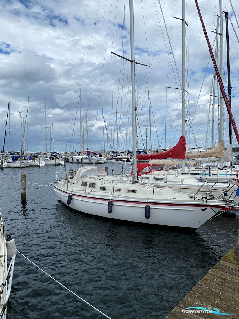 Zuleika 32