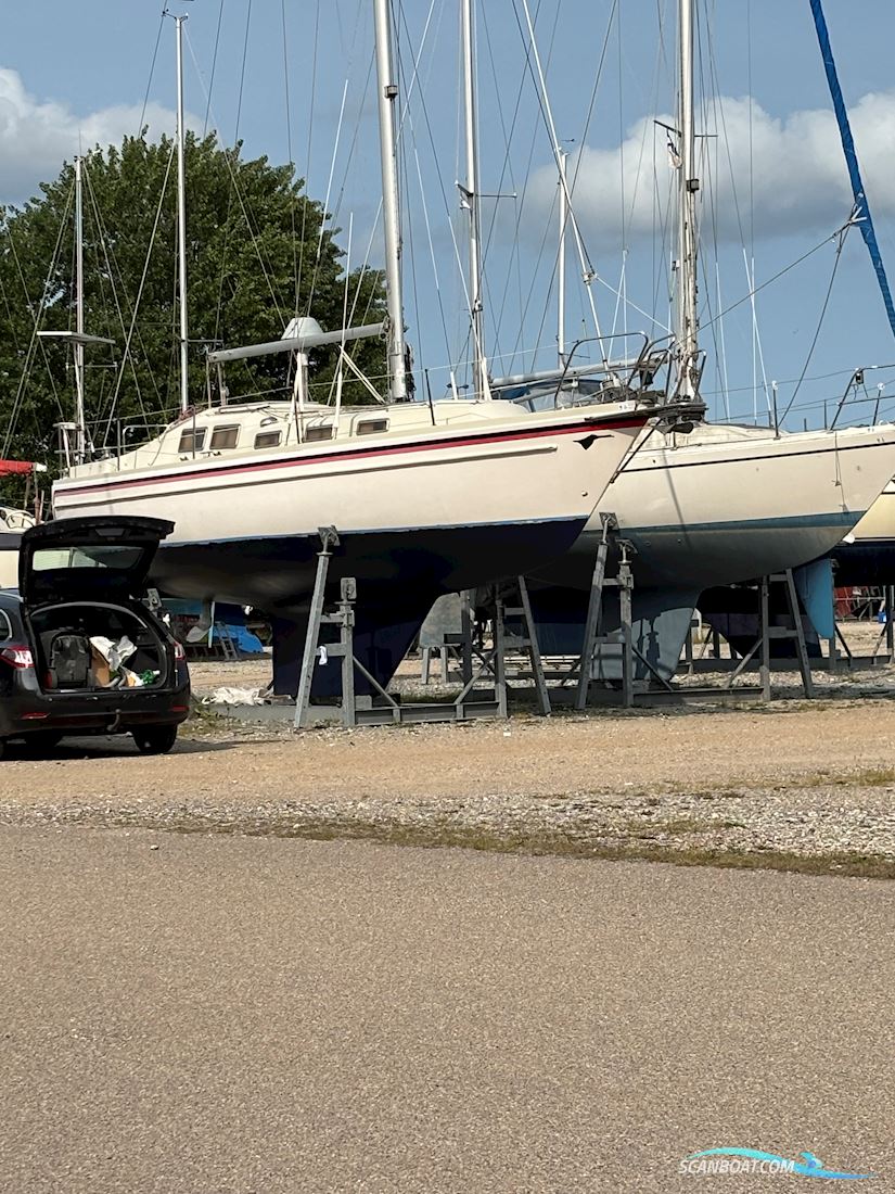 Zuleika 32