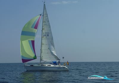Excel 319 Sailing boat 1992, Germany