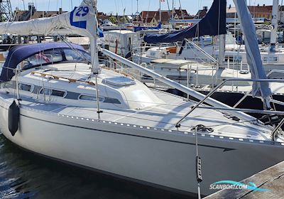 L29 Colina Sailing boat 1984, with Bukh DV10 engine, Denmark