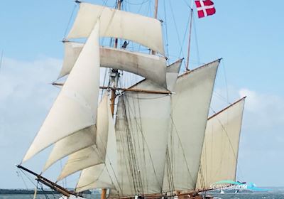 Classic Tall Ship / 3-Mast Topgallant Schooner Segelbåt 1918, med Guascor V12 motor, Danmark