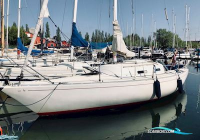 Albin Accent 26 Sailing boat 1974, with Yanmar Y8B engine, Denmark