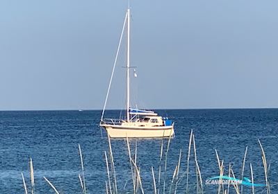 LM30 Motor sailor 1979, with Bukh engine, Denmark