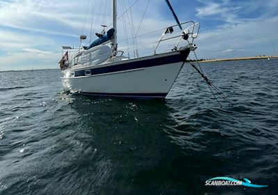 Hallberg Rassy 312 mk 1 Sailing boat 1983, with Vetus engine, Denmark