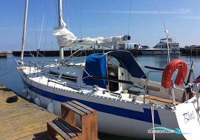 Solus 29 Segelboot 1983, mit Volvo Penta MD7A motor, Dänemark