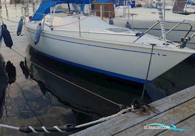 Albin 78 Cirrus Segelboot 1978, mit Volvo Penta md5 motor, Niederlande