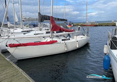 Albin Express Segelboot 1980, mit Suzuki motor, Dänemark