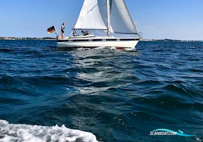 Hallberg Rassy 352 Segelbåt 1982, med Volvo Penta MD21 motor, Tyskland