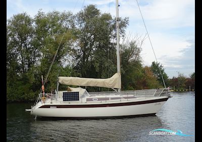 Dehler 372 Segelboot 1984, mit Yanmar 3HM motor, Niederlande