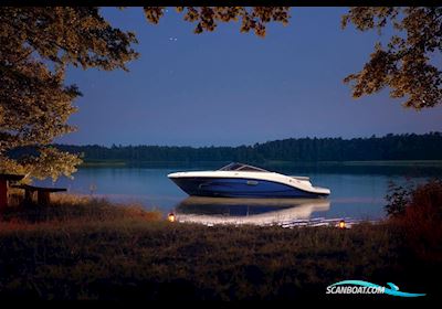 Sea Ray Spx 190 New Model 2024 Motor boat 2023, with Mercruiser engine, The Netherlands