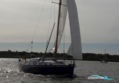 30 er Jollenkreuzer Segelbåt 1966, med Volvo Penta 2002 motor, Tyskland