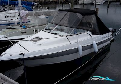 Campion Explorer 602 - Daycruiser Motorboten 2008, met Mercruiser motor, Denemarken