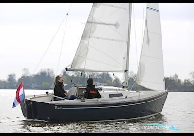 Damarin D23 (nieuw) Sejlbåd 2024, med yanmar motor, Holland