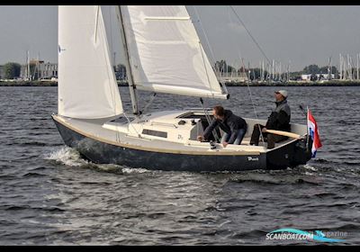 Damarin D23 (Nieuw) Sailing boat 2024, with Yanmar engine, The Netherlands